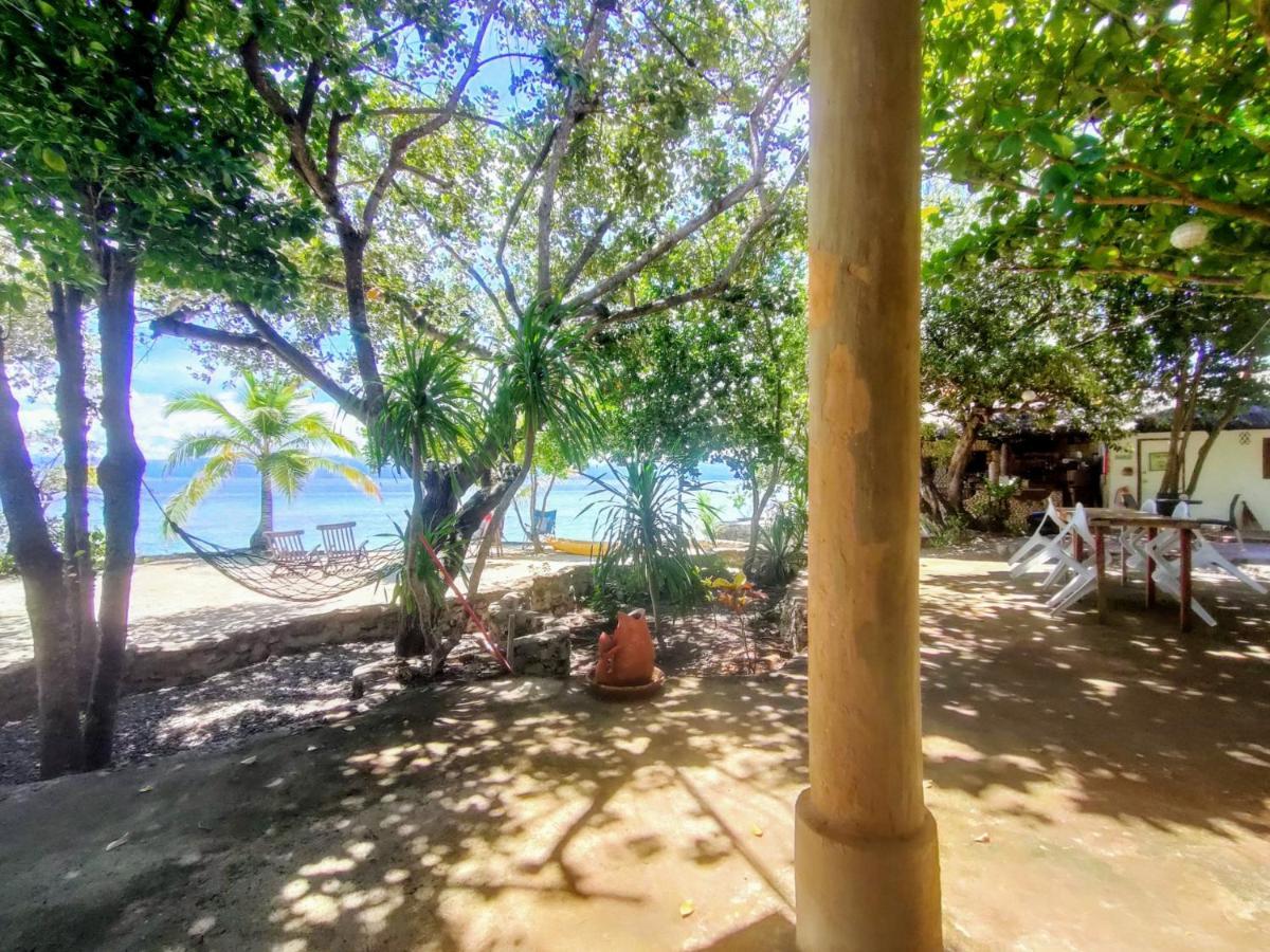 Moalboal T Breeze Coastal Resort Eksteriør billede