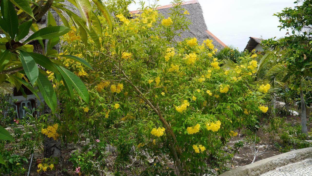 Moalboal T Breeze Coastal Resort Eksteriør billede